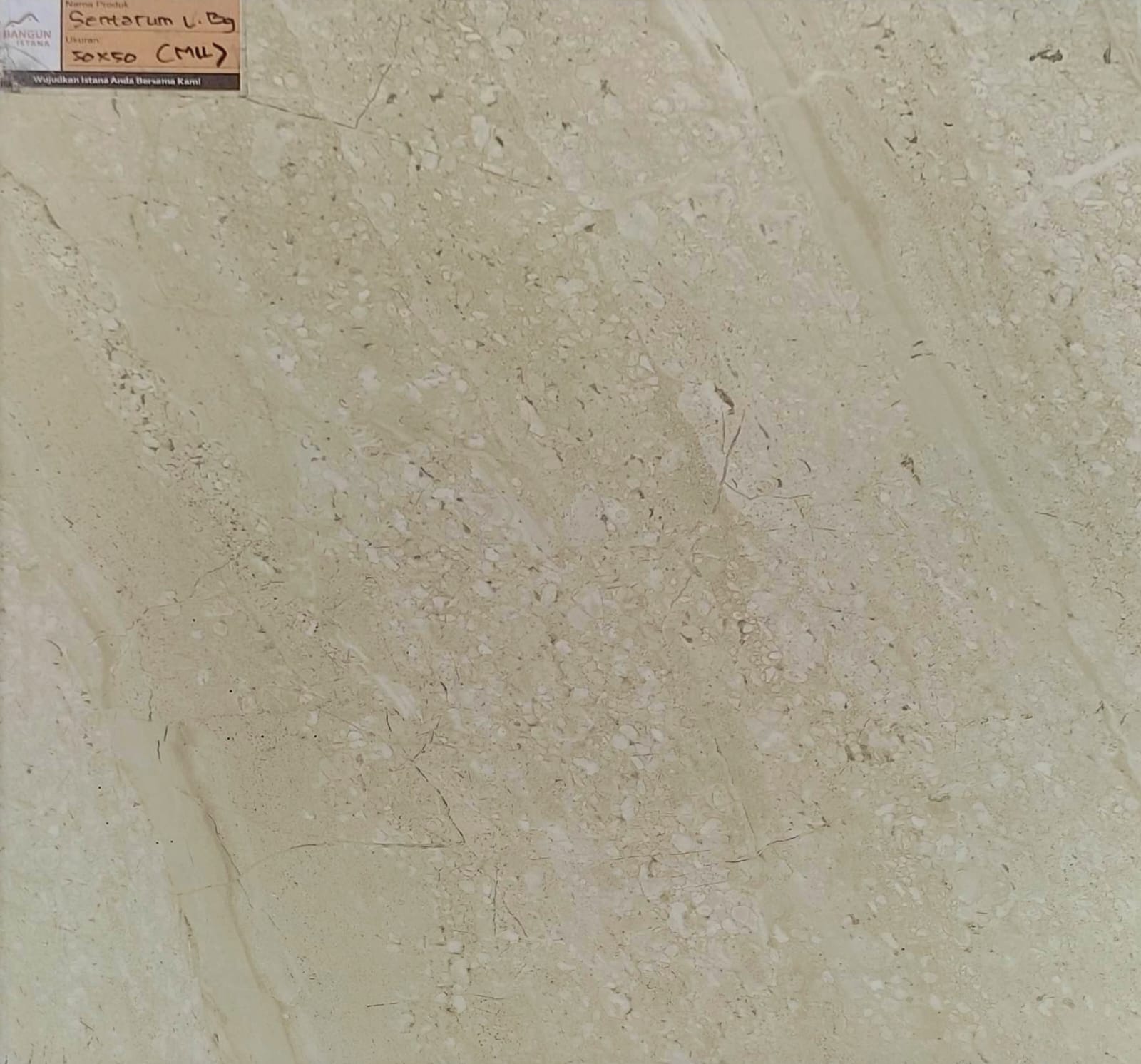 MILAZO 50X50 SENTARUM L BEIGE (TK)